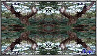 Tree -Portrait Orientation